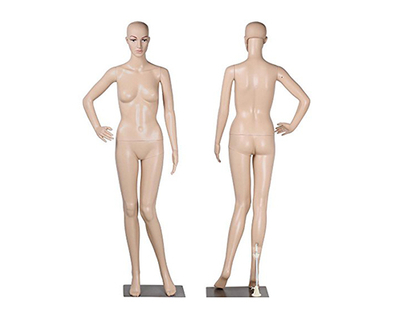 Modelo de cuerpo