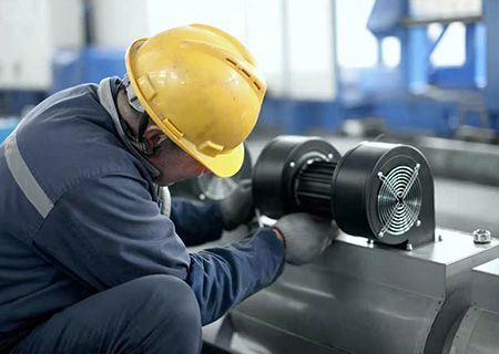 ~!phoenix_varIMG10!~